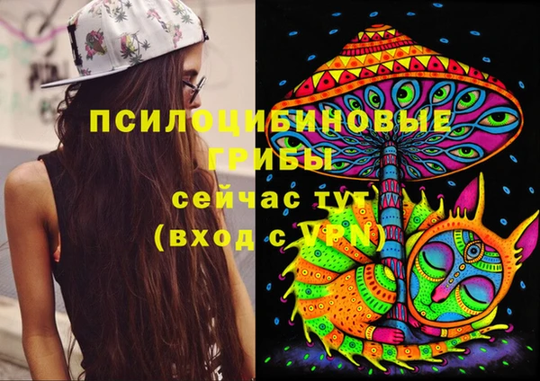 марки lsd Белокуриха