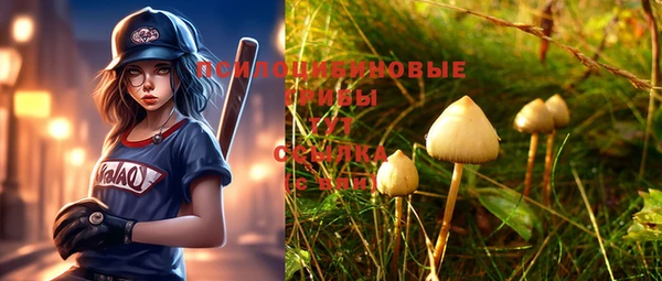 a pvp Белоозёрский